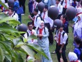 Tn 299 DSC 0385
